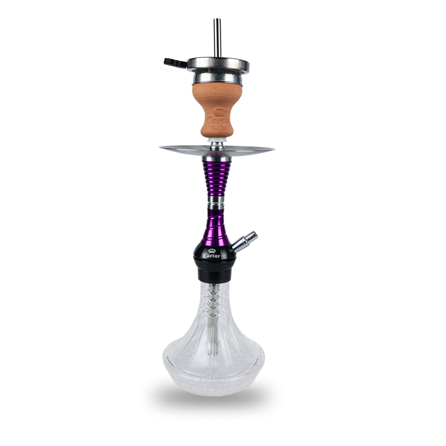 Caesar Shisha 02