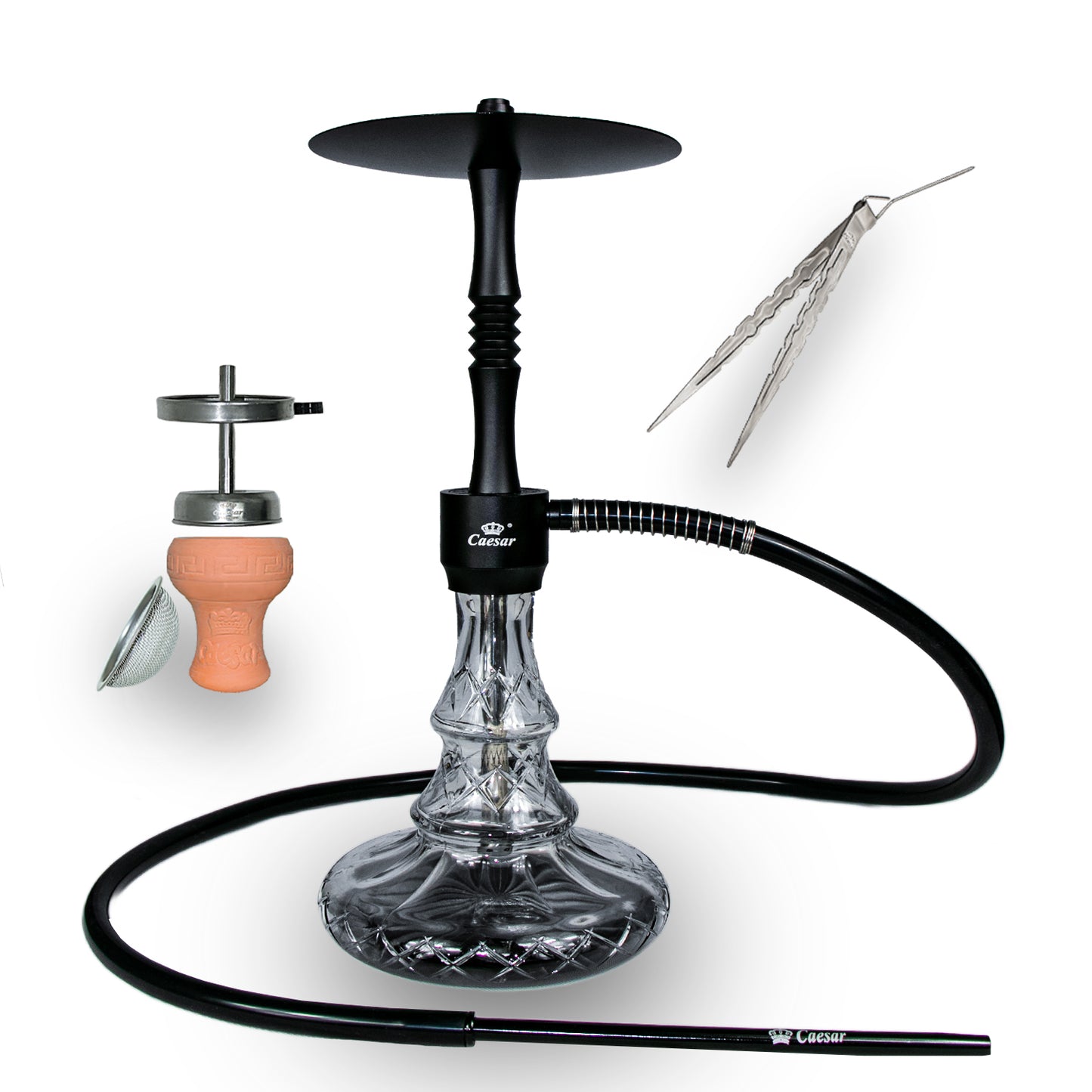 Caesar Shisha 2403