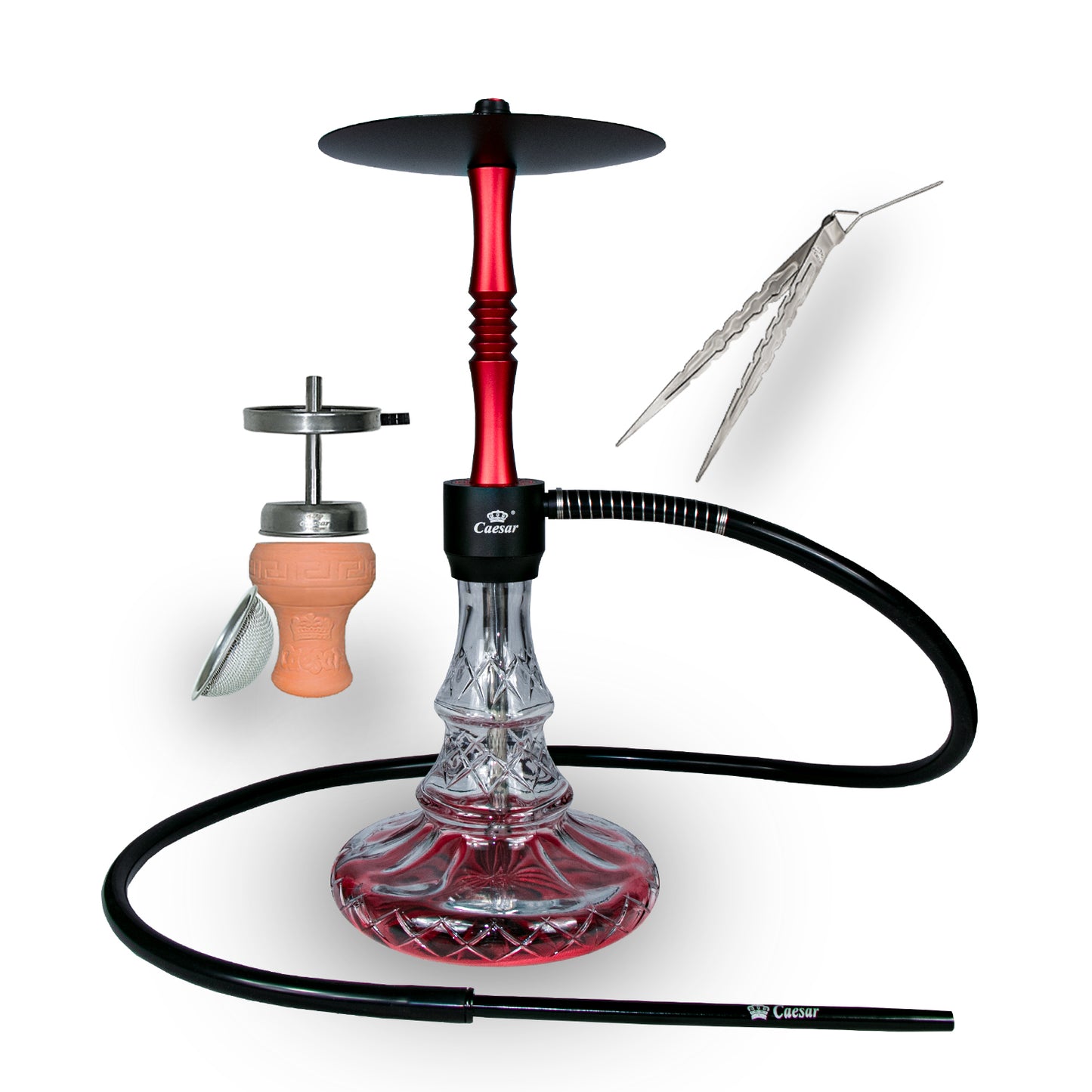 Caesar Shisha 2403