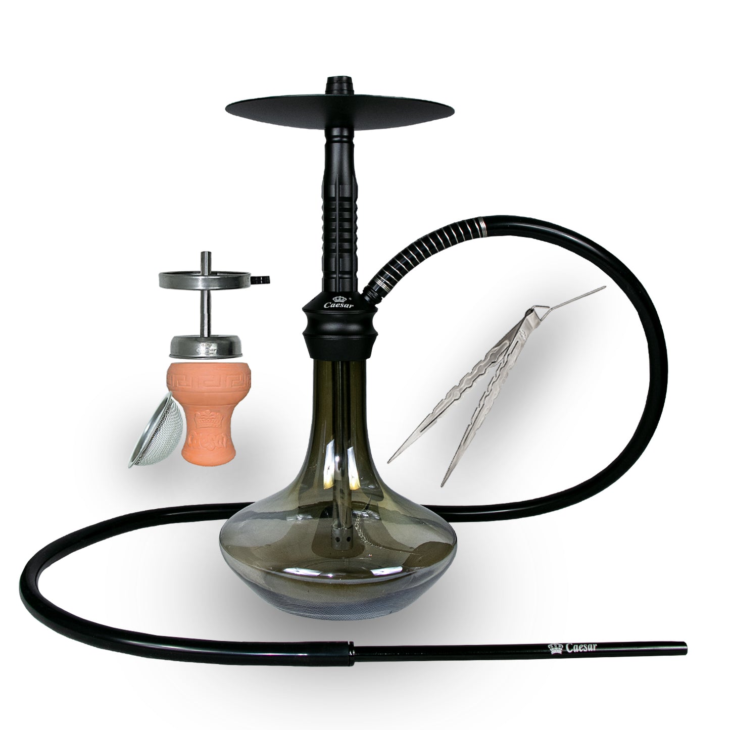 Caesar Shisha 2404