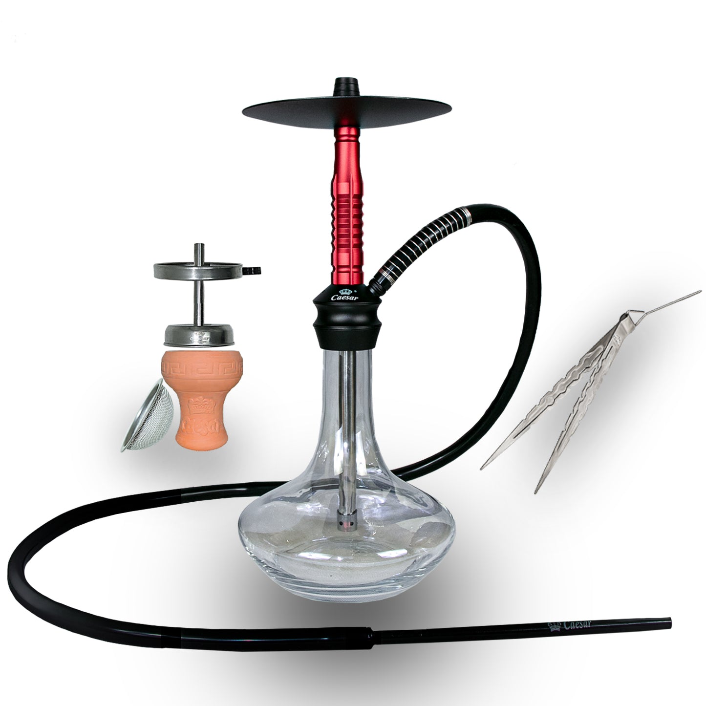 Caesar Shisha 2404