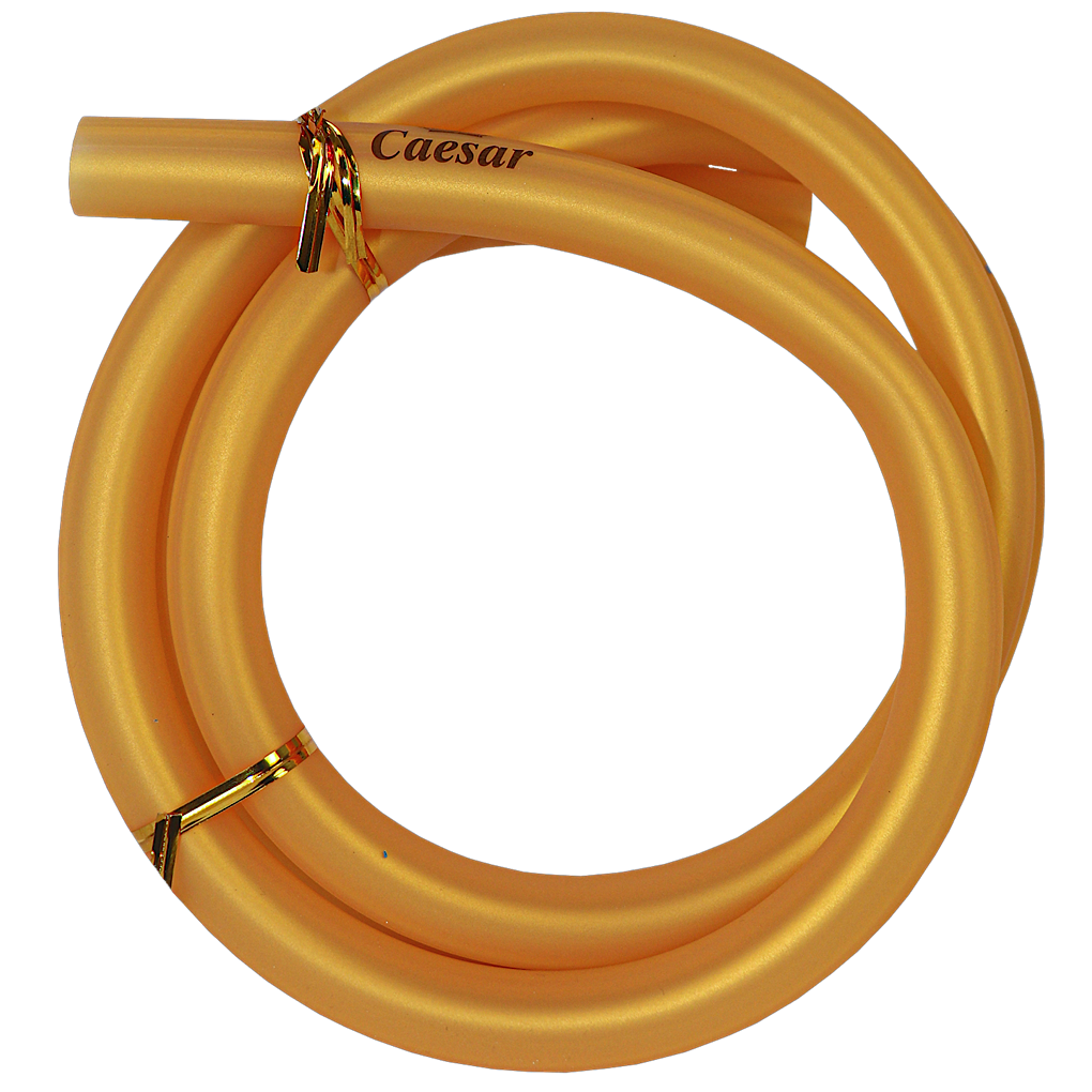 Caesar silicone hose