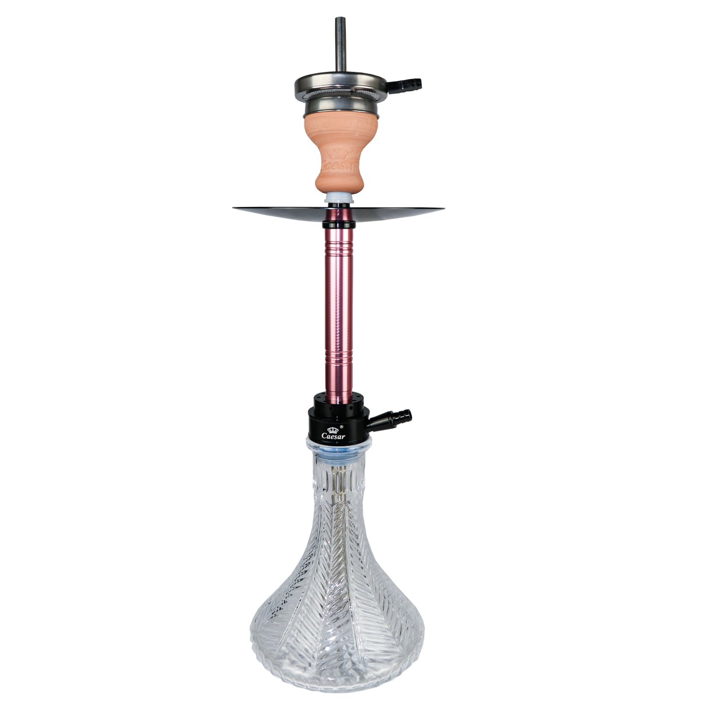 Caesar Shisha 10