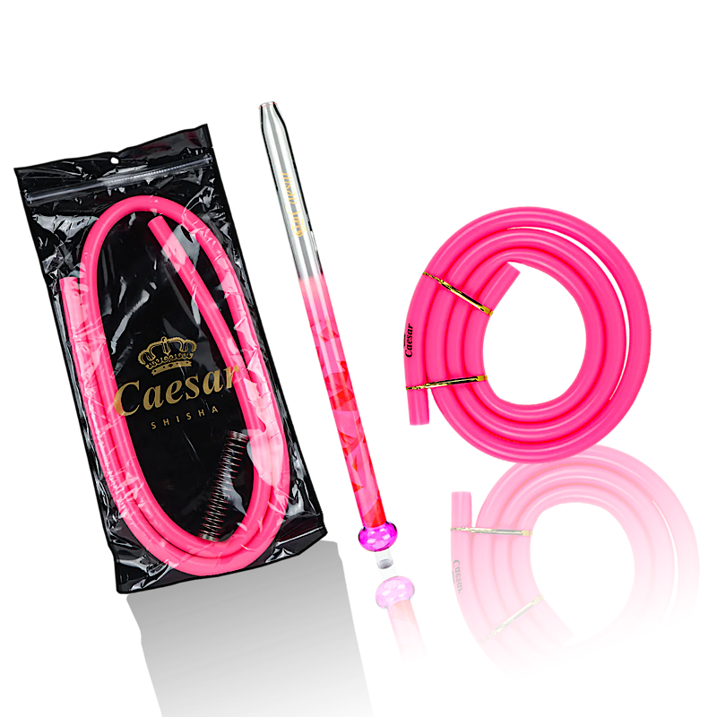 Silicone hose set