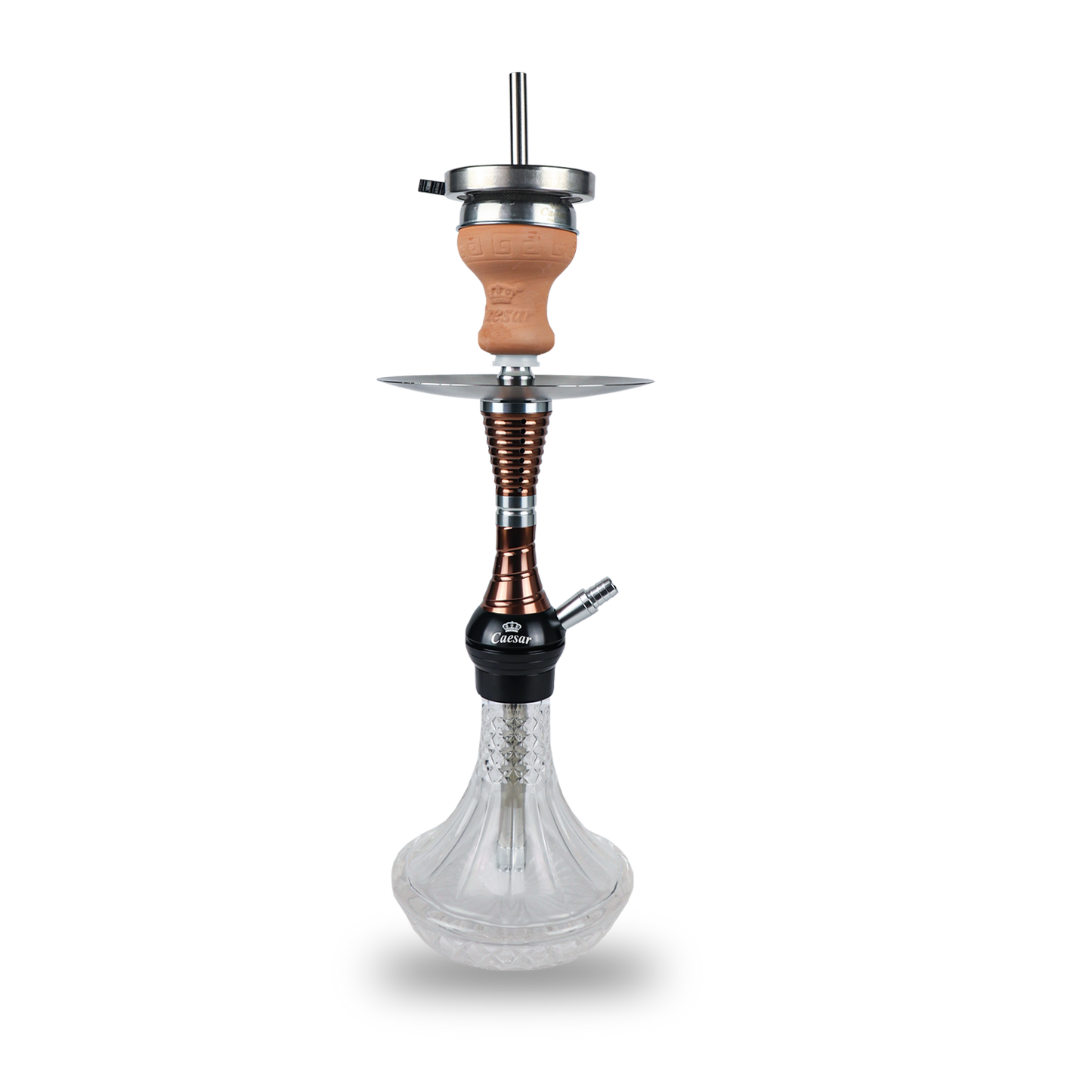 Caesar Shisha 02
